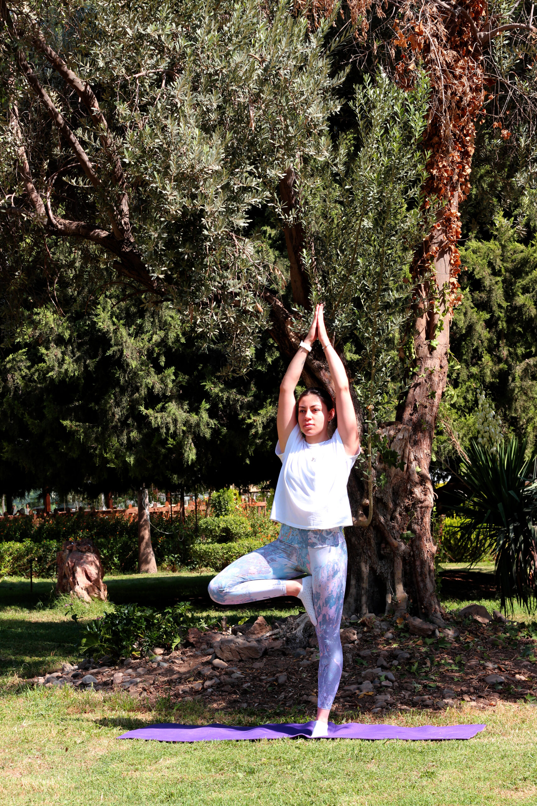 Rameh Method